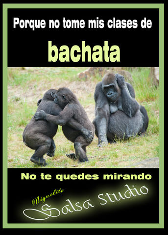 Sin Nombre
